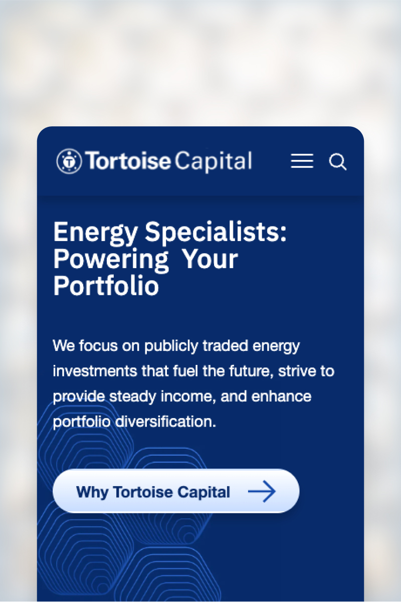 Screen shot from Tortoise website